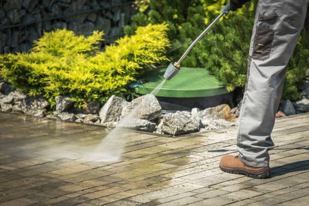 Best Fleet Vehicle Washing  in Monte Sereno, CA