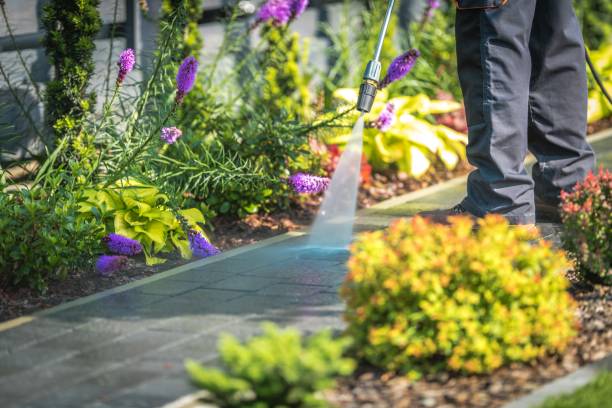 Best Factory Floor Cleaning  in Monte Sereno, CA